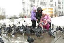 ������� ��-����������������